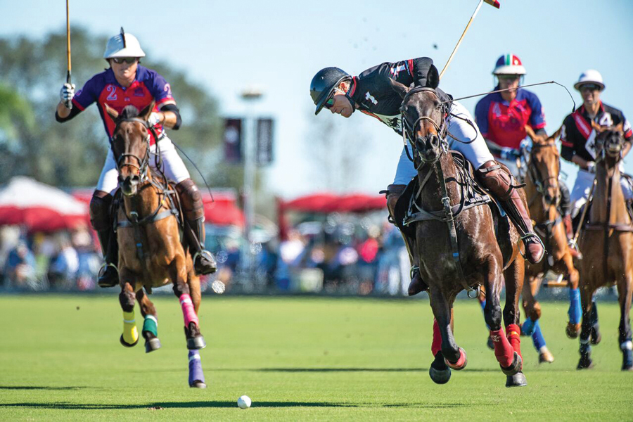 Lakewood Ranch - Polo